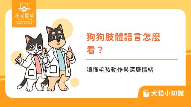 狗狗肢體語言怎麼看？讀懂毛孩動作與深層情緒
