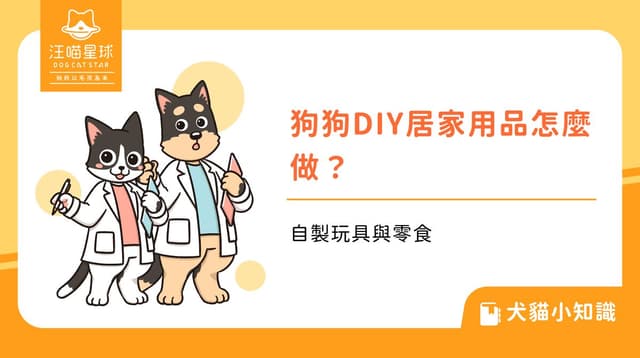 狗狗DIY居家用品怎麼做？自製玩具與零食