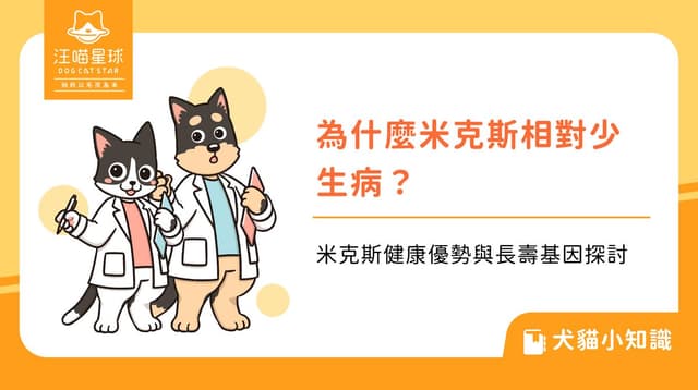 為什麼米克斯相對少生病？米克斯健康優勢與長壽基因探討