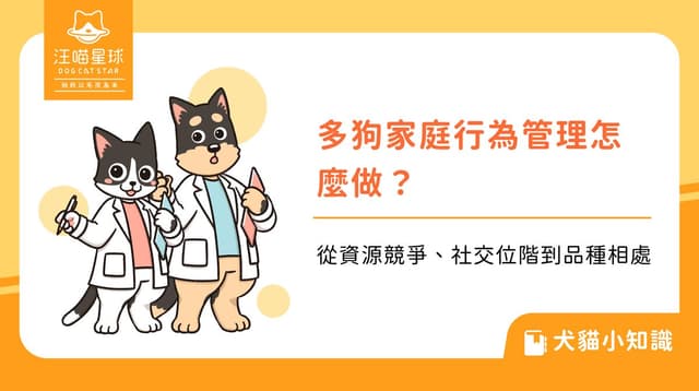 多狗家庭行為管理怎麼做？從資源競爭、社交位階到品種相處