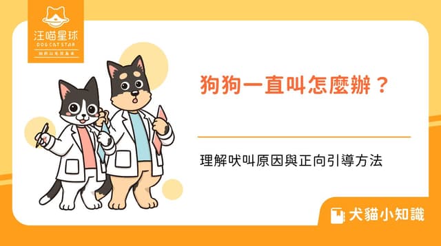 狗狗一直叫怎麼辦？理解吠叫原因與正向引導方法