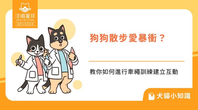 狗狗散步愛暴衝？教你如何進行牽繩訓練建立互動