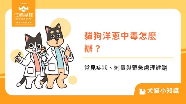貓狗洋蔥中毒怎麼辦？常見症狀、劑量與緊急處理建議