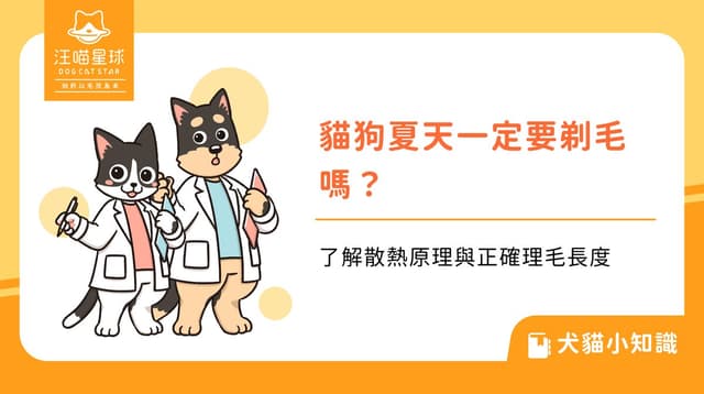 貓狗夏天一定要剃毛嗎？了解散熱原理與正確理毛長度