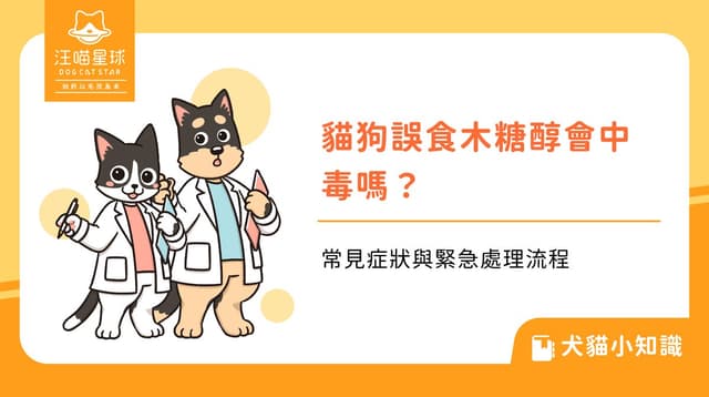 貓狗誤食木糖醇會中毒嗎？常見症狀與緊急處理流程