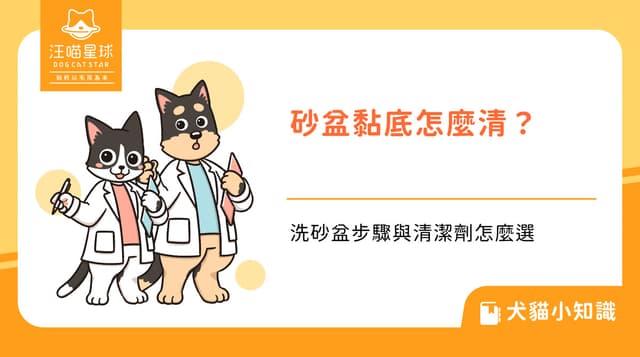 貓砂黏在砂盆底怎麼清？洗砂盆的步驟與清潔劑怎麼選
