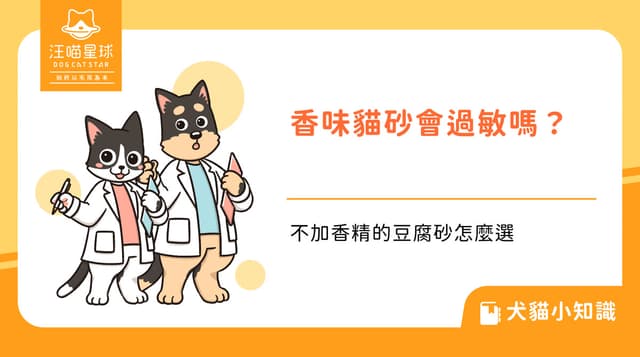 貓砂有香味會讓貓過敏嗎？不加香精的豆腐砂怎麼選