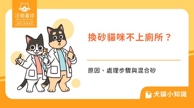 換貓砂貓咪不上廁所怎麼辦？原因、處理步驟與混合砂怎麼用