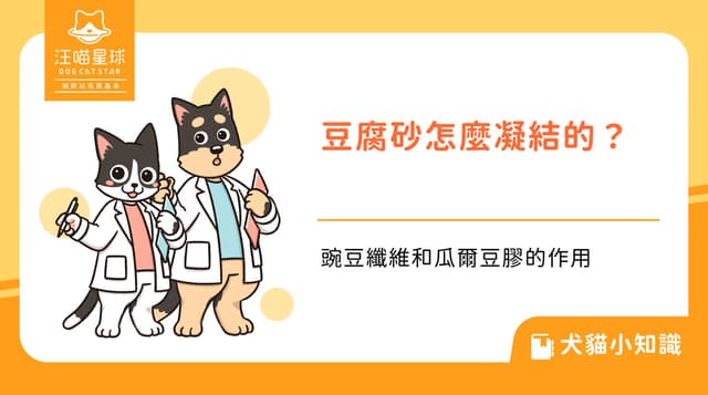 豆腐砂為什麼會凝結？豌豆纖維和瓜爾豆膠的作用