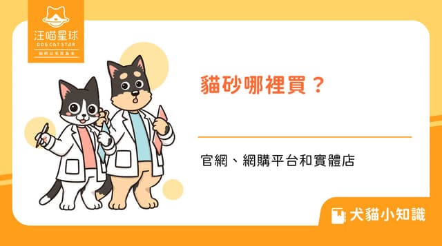 貓砂哪裡買？官網、網購平台和實體店差在哪