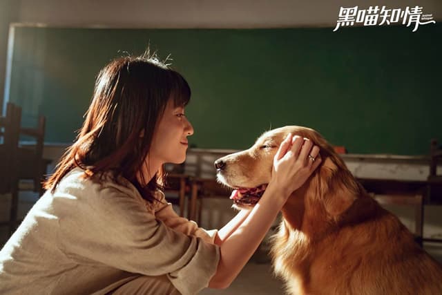 【汪喵好朋友】為什麼汪喵要和《黑喵知情》合作呢?