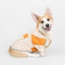 汪喵 X PEHOM 聯名|狗狗雨衣