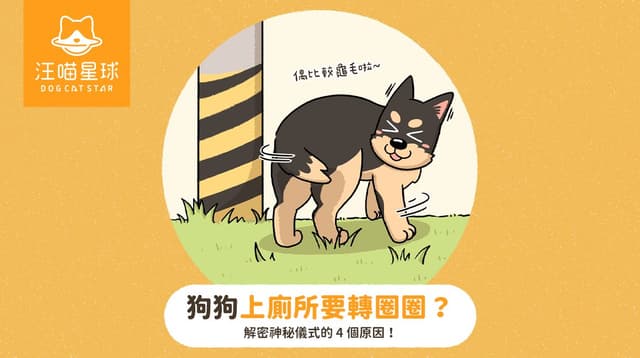 【汪喵冷知識】狗狗上廁所要轉圈圈?解密神秘儀式的 4 個原因!