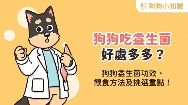 狗狗益生菌怎麼吃?什麼時候吃?益生菌 5 大功效、使用指南一次看