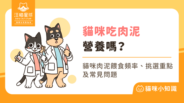 貓吃肉泥好嗎?貓肉泥怎麼挑?貓咪吃肉泥懶人包!