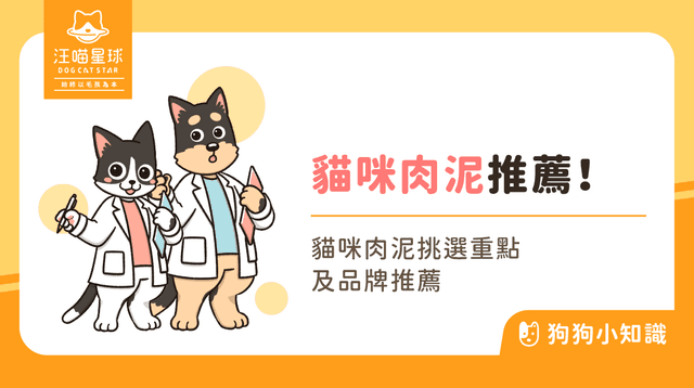 2025 最新貓肉泥推薦!8 款人氣貓肉泥評比,營養成分、適口性一次看