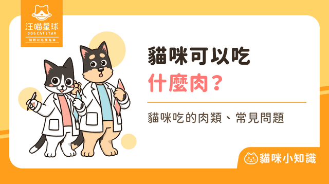 貓咪可以吃什麼肉?貓咪可以吃牛肉嗎?7 大肉類飲食指南!