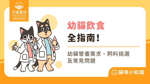 【2025 最新】幼貓一天吃多少?4 大幼貓飲食建議、幼貓飼料推薦