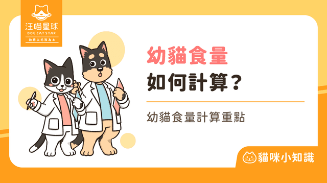 幼貓食量驚人該怎麼餵?5 大食量計算重點看完你就懂了!