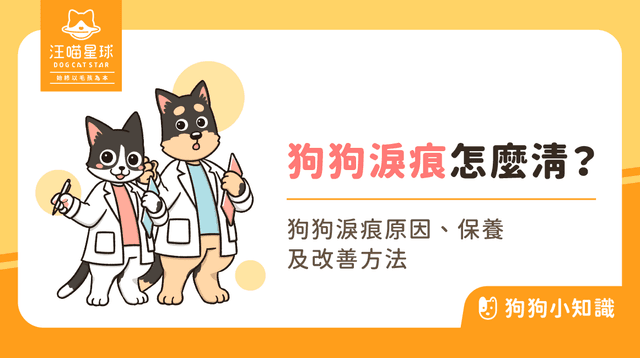 狗狗淚痕好困擾!狗狗淚痕原因、改善方法,還給狗狗雪亮臉龐