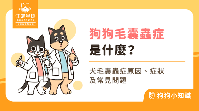 犬毛囊蟲症是什麼?8 方法保護狗狗遠離蟲蟲危機