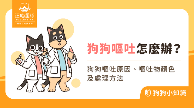 狗狗吐怎麼辦?從常見原因到送醫時機,一文看懂!