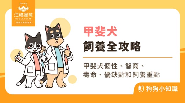 甲斐犬很稀有?「日本國寶級」甲斐犬品種特徵、個性懶人包!