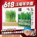狗狗生菜